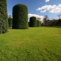 Kensington Gardens