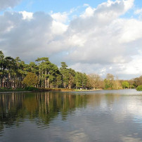 Bois de Boulogne