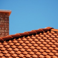 Dakpanpanelen