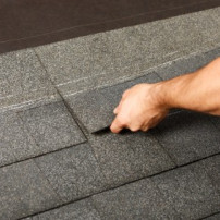 Dakshingles