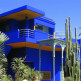 De botanische tuinen van Jardin Majorelle