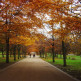 Herfst in Greenwich Park