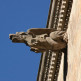 Detail bij de Plaça del Rei