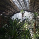 Tuin in het Station Atocha