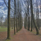Pad in het Ter Kamerenbos