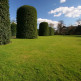 Struiken in Kensington Gardens