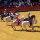 Ruiters in arena