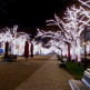 Kerstversiering op Unter den Linden