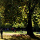 Mensen in St. James’s Park