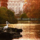 Pelikaan in St. James’s Park