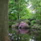 Vijver in het Park Tiergarten