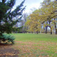 Bomen in het Letnápark