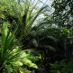 Binnen in de Hortus Botanicus Amsterdam