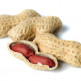 Voedselallergie