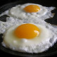 Voorkomen van salmonella