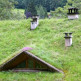 Groendaken