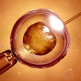 Kosten en terugbetaling van IVF